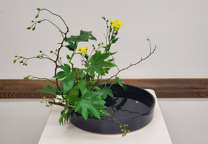 写景盛花自然本位