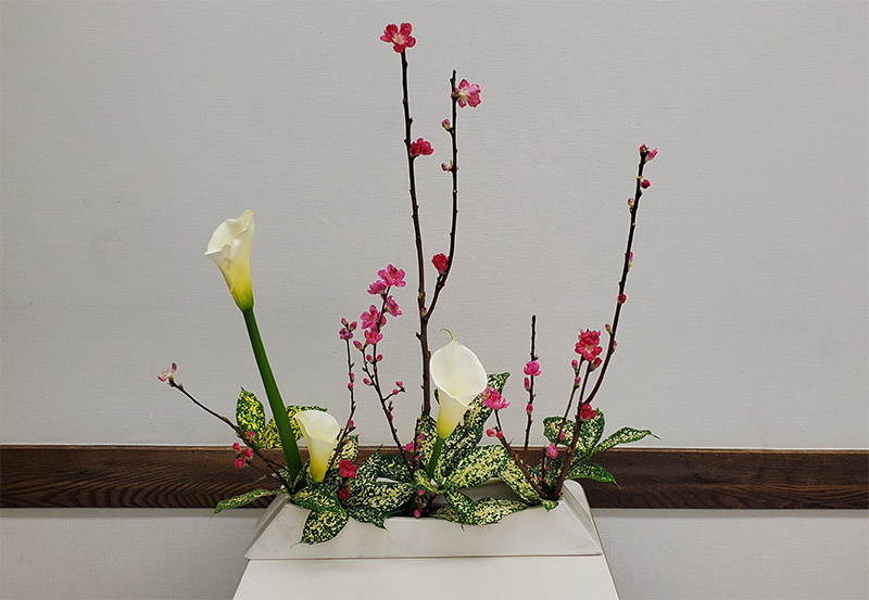 花意匠ならぶかたち